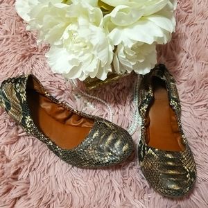Lucky Brand Snakeskin Print Ballet Flats Size 5.5M